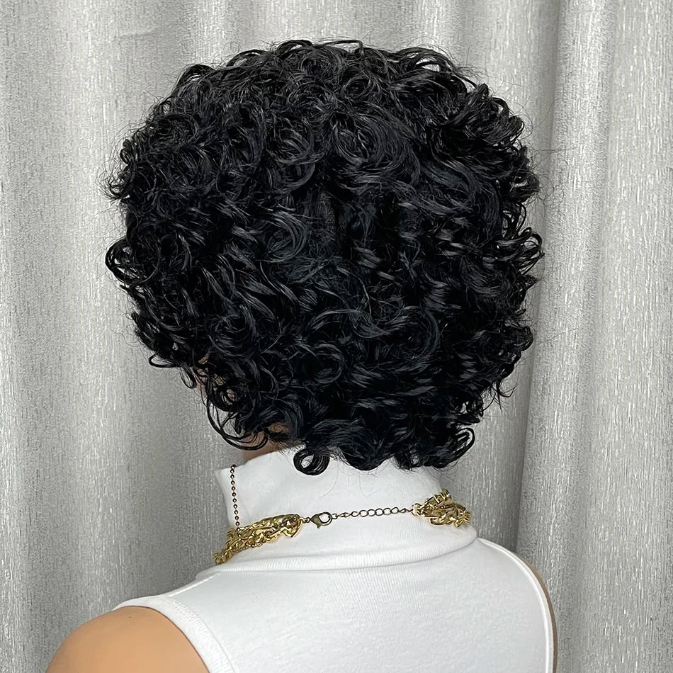 Kinky Curly Human Hair Wig